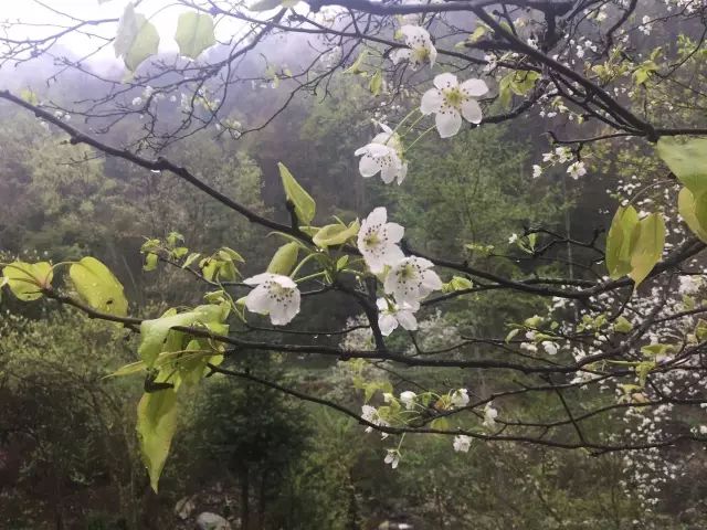 营养早餐什么意思_早发营养餐_营养早餐问题