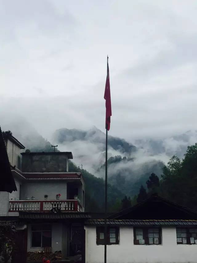 早发营养餐_营养早餐什么意思_营养早餐问题