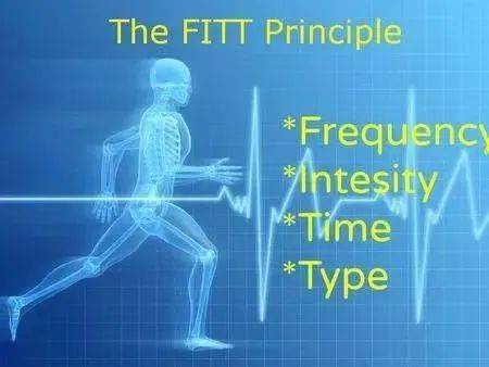 初级有氧运动简单_初学者有氧运动_怎么做氧运动